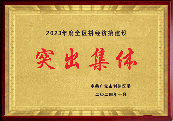 2023年度全区拼经济搞建设突出集体