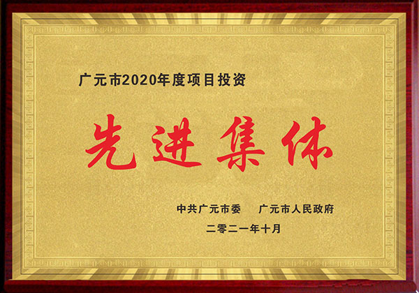 广元市2020年度项目投资先进集体