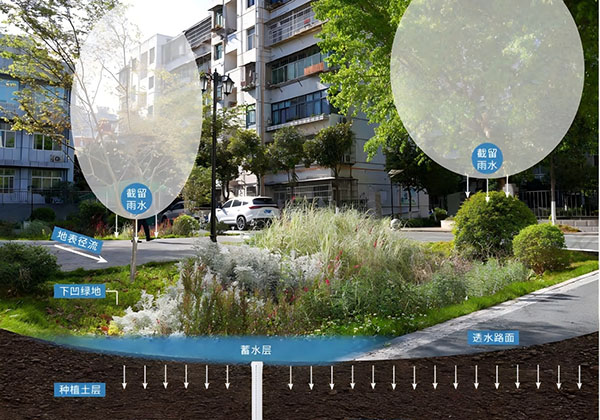 海绵小区改造项目