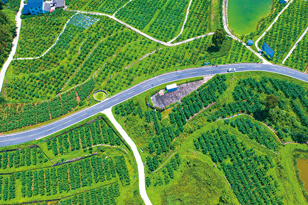 龙潭乡金鼓村至红岩村美丽乡村路工程